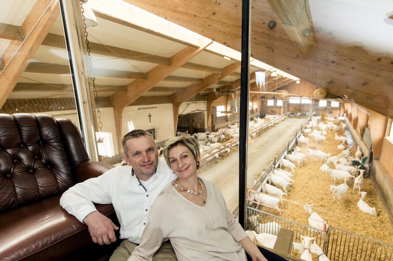 Schlierbach Auszeit Am Ziegenhof Nur Fuer Erwachsene 아파트 외부 사진